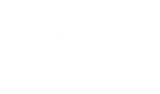 Falcon Electrical and Mechanical Logo